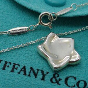 Tiffany & Co. Elsa Peretti Sterling Silver Large Aegean Star Pendant Necklace